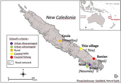 Impact of the Use of a Teaching Toolbox in an Awareness Campaign on Children's Representations of Coral Reefs